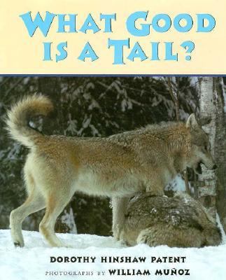 What good is a tail?