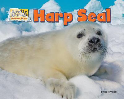 Harp seal