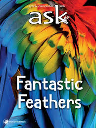 Ask : fantastic feathers.