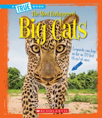 The most endangered big cats