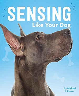 Sensing like your dog