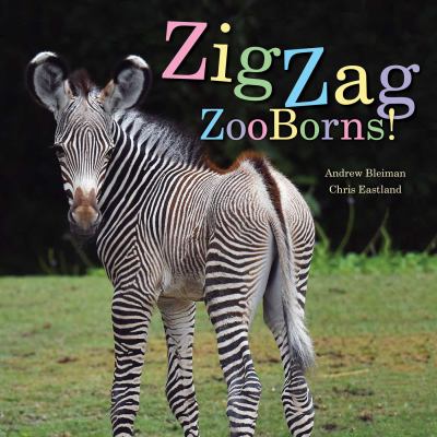 Zigzag zooborns! : zoo baby colors and patterns