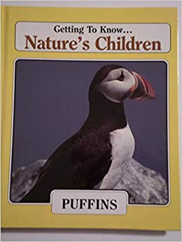 Puffins