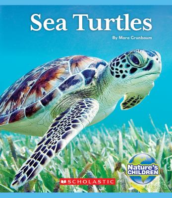 Sea turtles