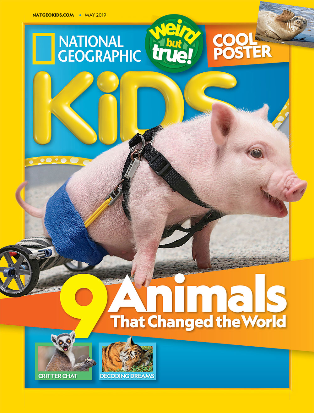 National Geographic Kids: magazine. :