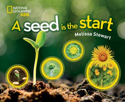 A seed is the start