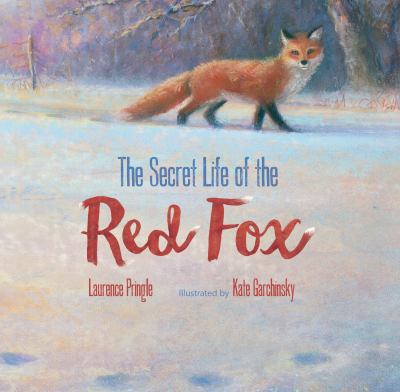 The secret life of the red fox