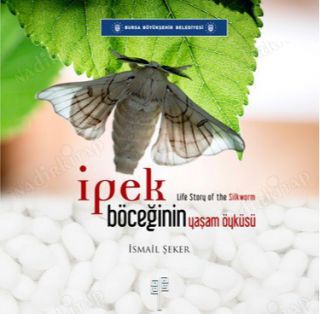 İpek böceğinin yaşam öyküsü = Life story of the silkworm