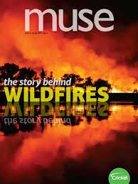 Muse : story behind wildfires.