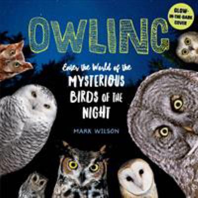 Owling : enter the world of the mysterious birds of the night