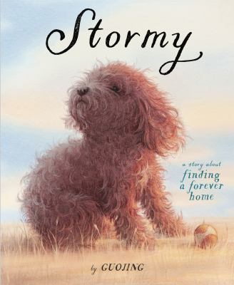 Stormy : a story about finding a forever home