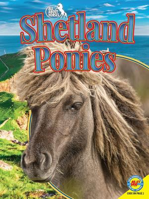 Shetland ponies