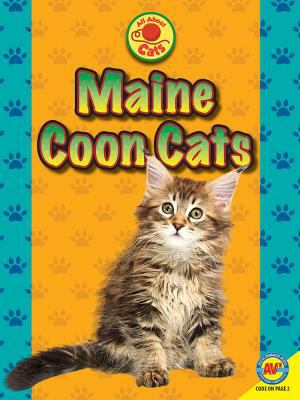 Maine coon cats