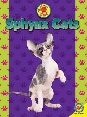 Sphynx cats