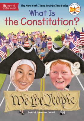 What is the constitution
