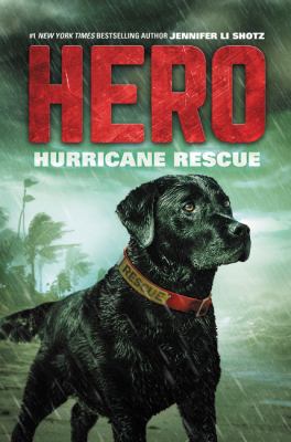 Hurricane rescue