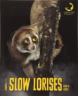 Slow lorises