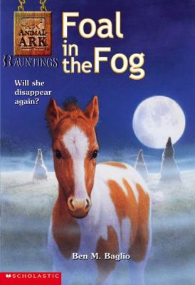 Foal in the fog