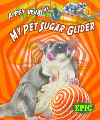 My pet sugar glider
