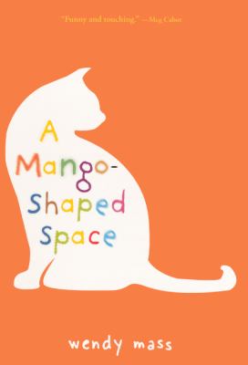 A mango-shaped space : a novel