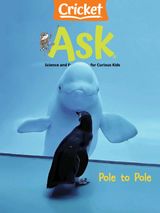 Ask: pole to pole