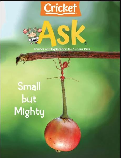 Ask: small but mighty.