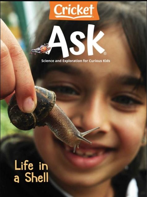 Ask: life in a shell.