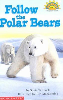 Follow the polar bears