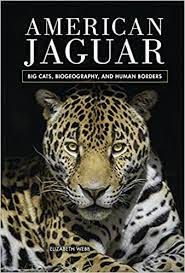 American jaguar : big cats, biogeography, and human borders
