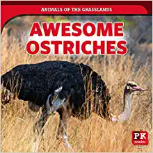Awesome ostriches