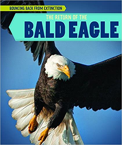The return of the bald eagle