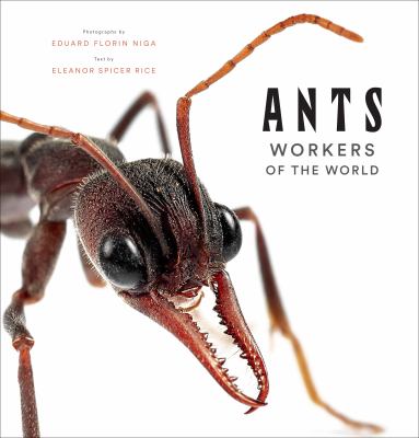 Ants : workers of the world