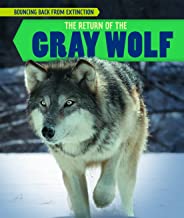 The return of the gray wolf