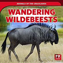 Wandering Wildebeests