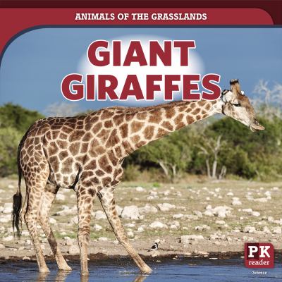 Giant giraffes