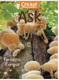 Ask : fantastic fungus