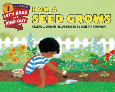 How a seed grows