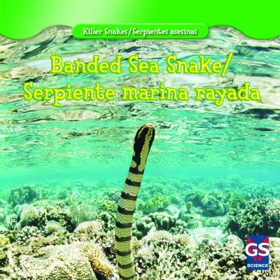 Banded sea snake = Serpiente marina rayada