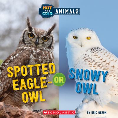 Spotted eagle-owl or snowy owl. Spotted eagle-owl or Snowy owl /