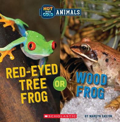 Red-eyed tree frog or wood frog. Red-eyed tree frog or Wood frog /