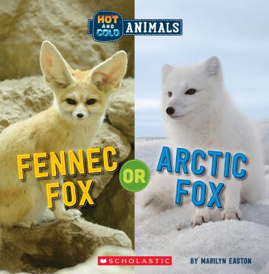 Fennec fox or arctic fox. Fennec fox or Arctic fox /
