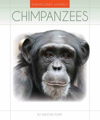 Chimpanzees