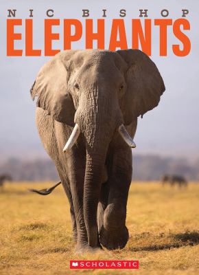 Elephants