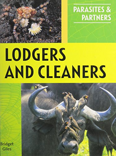 Lodgers and cleaners