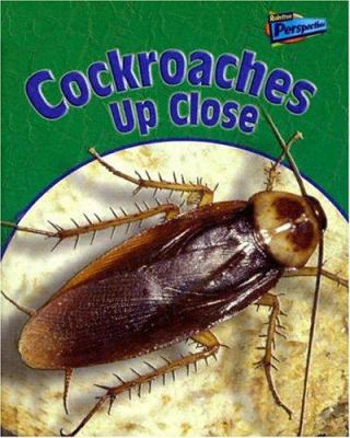 Cockroaches up close