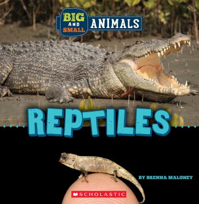 Reptiles