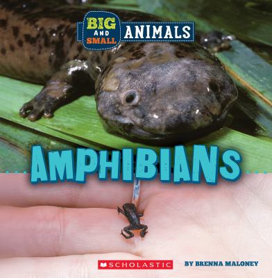 Amphibians