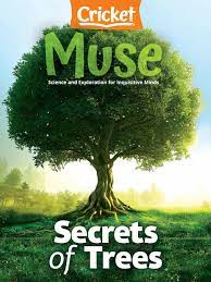 Muse : secrets of trees.