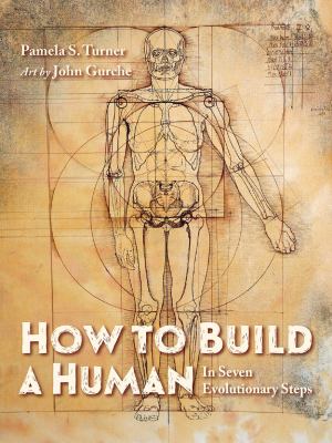 How to build a human : in seven evolutionary steps