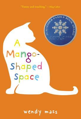 A mango-shaped space  : a novel